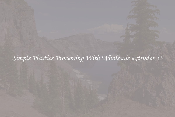 Simple Plastics Processing With Wholesale extruder 55