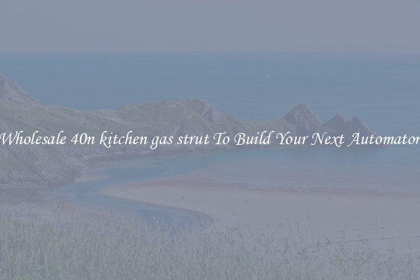Wholesale 40n kitchen gas strut To Build Your Next Automaton