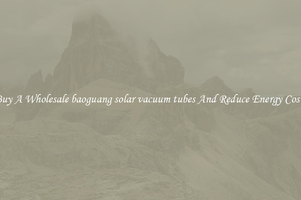 Buy A Wholesale baoguang solar vacuum tubes And Reduce Energy Costs