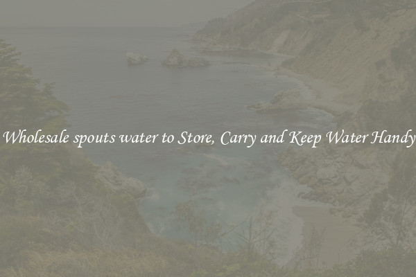 Wholesale spouts water to Store, Carry and Keep Water Handy