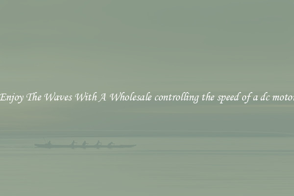 Enjoy The Waves With A Wholesale controlling the speed of a dc motor
