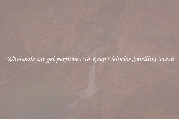 Wholesale car gel perfumes To Keep Vehicles Smelling Fresh