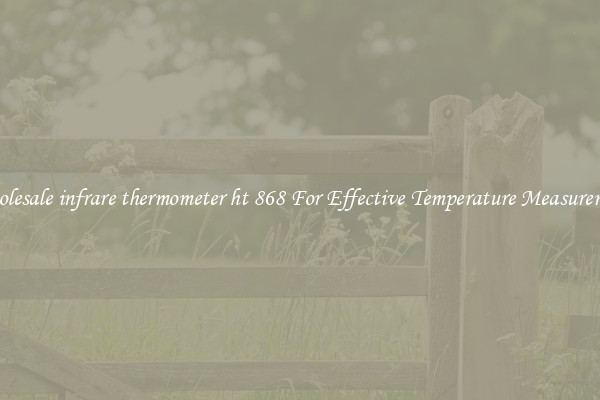 Wholesale infrare thermometer ht 868 For Effective Temperature Measurement