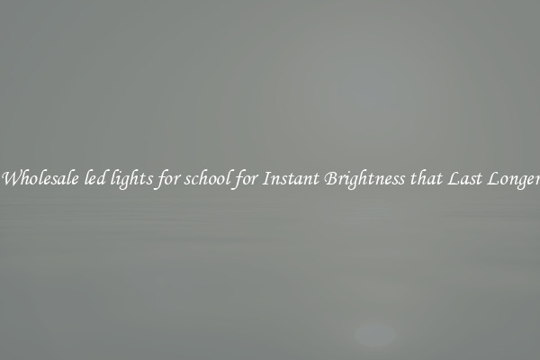 Wholesale led lights for school for Instant Brightness that Last Longer