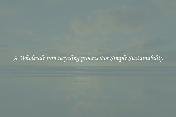  A Wholesale iron recycling process For Simple Sustainability 
