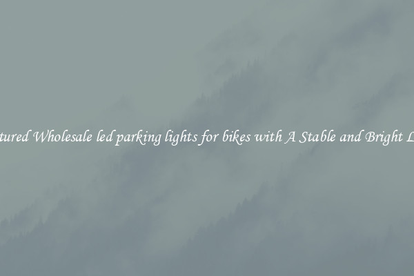 Featured Wholesale led parking lights for bikes with A Stable and Bright Light