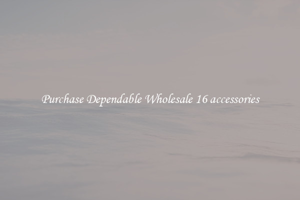 Purchase Dependable Wholesale 16 accessories