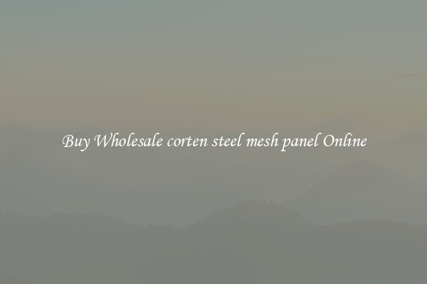 Buy Wholesale corten steel mesh panel Online