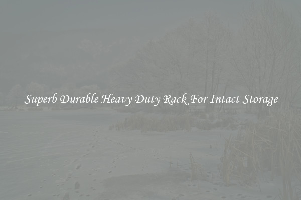 Superb Durable Heavy Duty Rack For Intact Storage