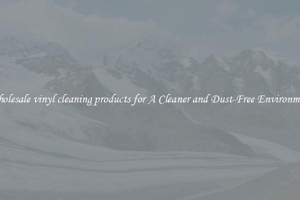 Wholesale vinyl cleaning products for A Cleaner and Dust-Free Environment