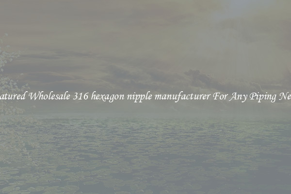 Featured Wholesale 316 hexagon nipple manufacturer For Any Piping Needs