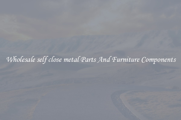 Wholesale self close metal Parts And Furniture Components