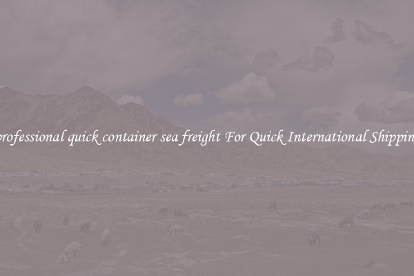 professional quick container sea freight For Quick International Shipping