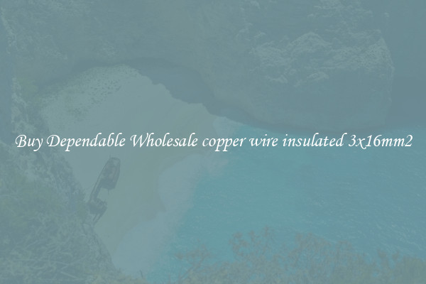 Buy Dependable Wholesale copper wire insulated 3x16mm2