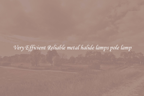 Very Efficient Reliable metal halide lamps pole lamp