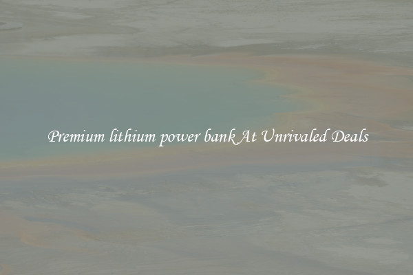 Premium lithium power bank At Unrivaled Deals