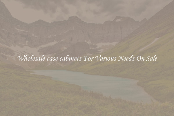 Wholesale case cabinets For Various Needs On Sale